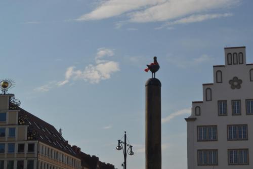 DSC_0536.JPG