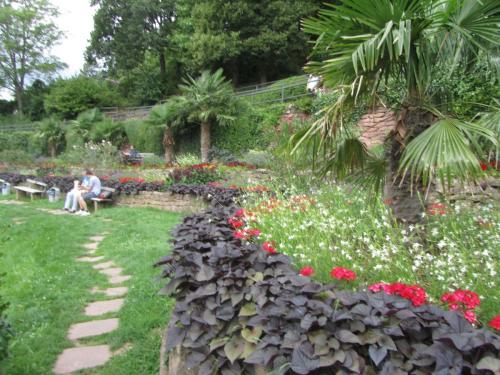 IMG_8213 — копия.JPG