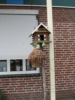 IMG_5255.JPG