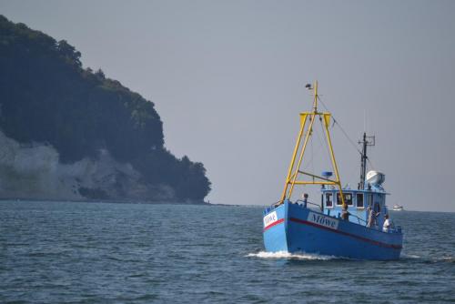 DSC_0321.JPG