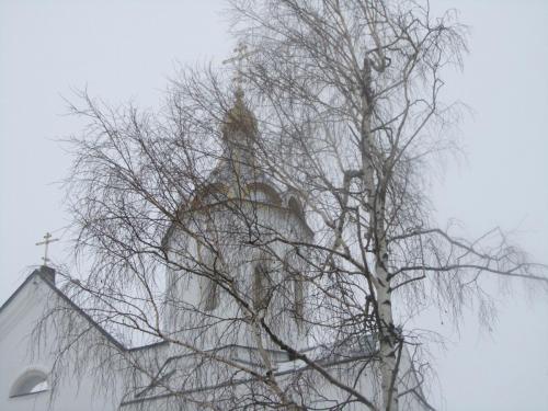 IMG_2440.JPG