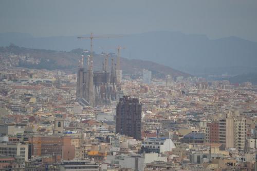 DSC_0441.JPG