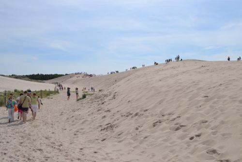 DSC_0814.JPG