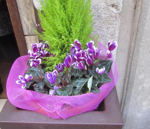 IMG_3438 — копия (3) — копия — копия.JPG