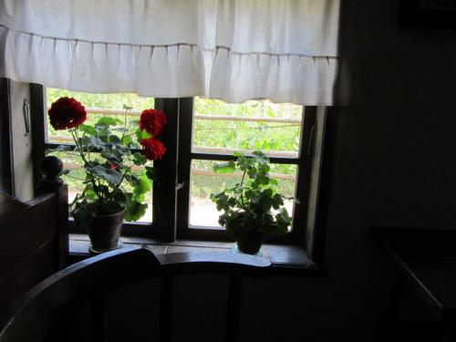 IMG_7376.JPG