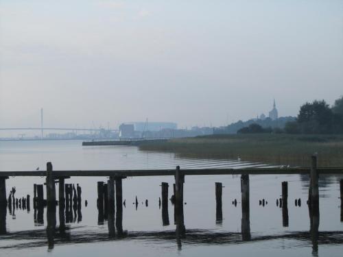 IMG_7559.JPG