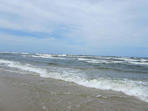 IMG_7343.JPG