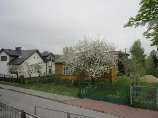 IMG_4225.JPG
