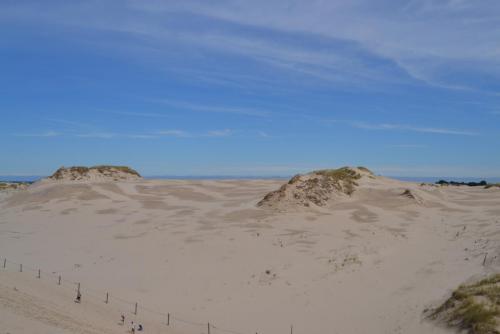 DSC_0570.JPG