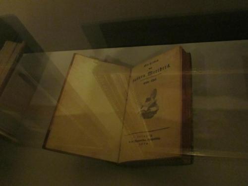 IMG_5228 — копия.JPG