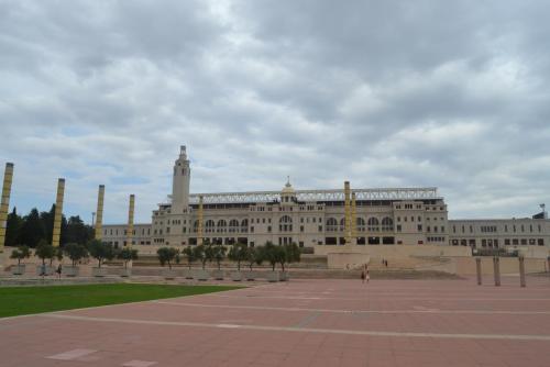 DSC_0990.JPG