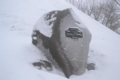 DSC_0986.JPG