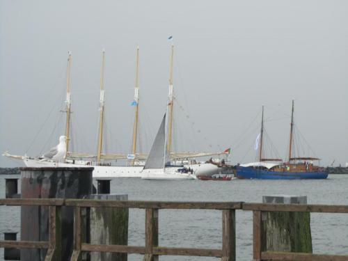 IMG_7997.JPG