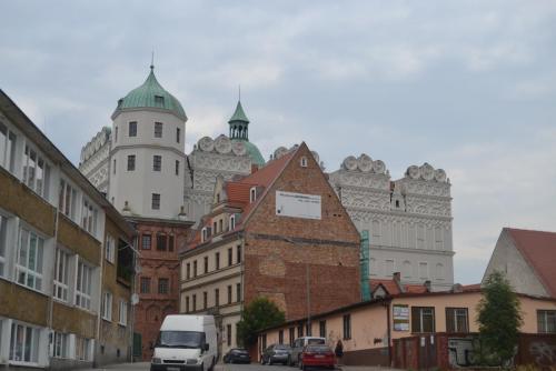 DSC_0982.JPG