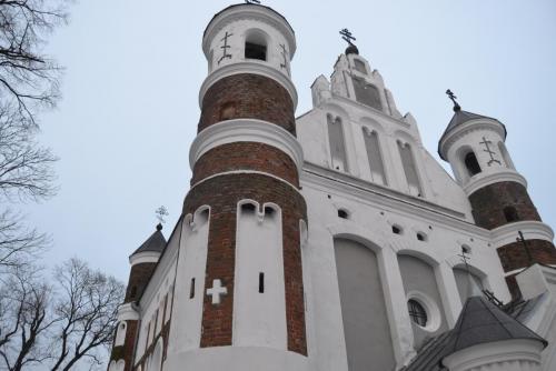 DSC_0907.JPG