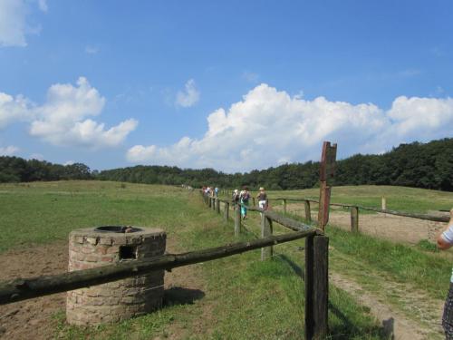 IMG_7776.JPG