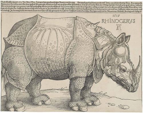 Dürer&#39;s_Rhinoceros,_1515.jpg