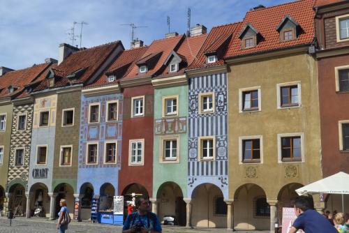 DSC_0725.JPG