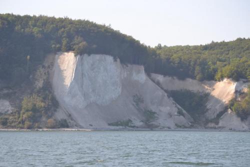 DSC_0313.JPG