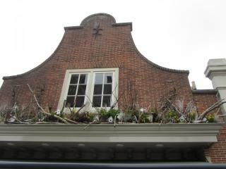 IMG_5232.JPG