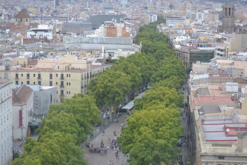 DSC_0680.JPG