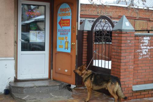 Встреча. Звенигород 2016 031.jpg