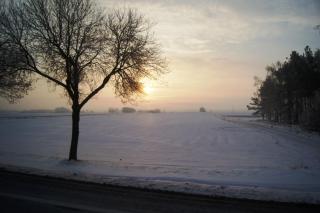 DSC03394.JPG