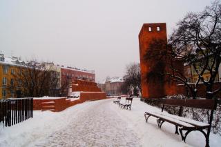 DSC03600.JPG