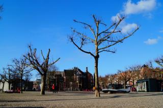 DSC04226.JPG