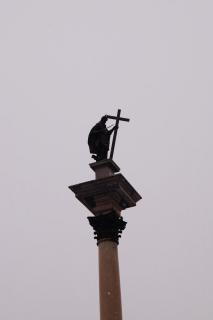 DSC03614.JPG