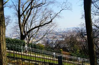 DSC05575.JPG
