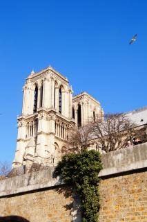 DSC05012.JPG
