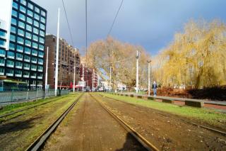 DSC04238.JPG