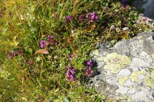 DSC04954 Каспров Верх.JPG