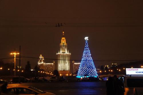 DSC06219  Москва 3.01.17 г.JPG