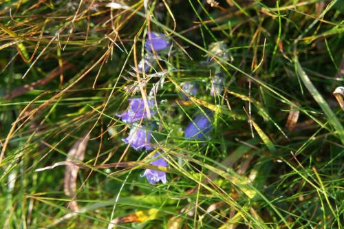 DSC04921 Каспров Верх.JPG