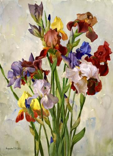 Ирисы С.Андрияки 2.jpg