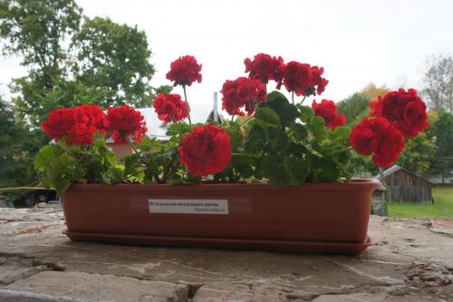 DSC01706  Воскресенский мужской монастырь..JPG