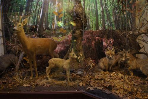 DSC05061 Оравский град.JPG