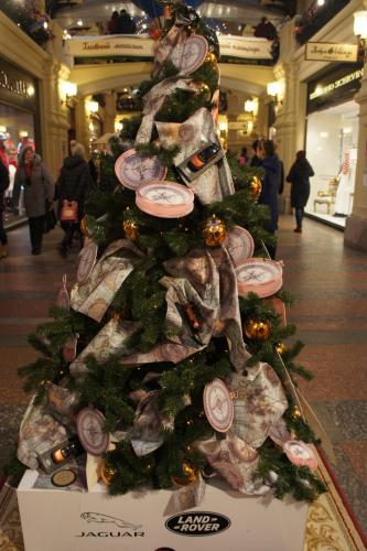 DSC02267  Москва 30 декабря 2017 г..JPG