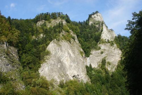 DSC04983 сплав.JPG