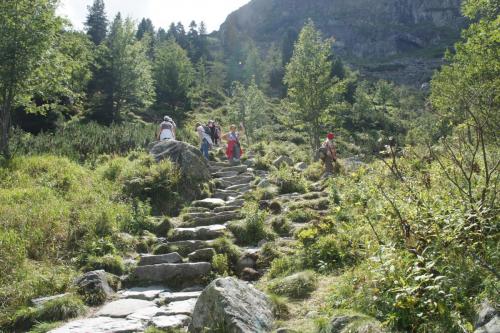 DSC04858 Черный Став.JPG