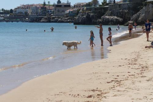 DSC02253 Ривьера 24.04.JPG