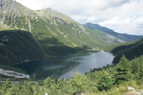 DSC04863 Черный Став.JPG