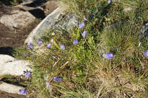 DSC04934 Каспров Верх.JPG