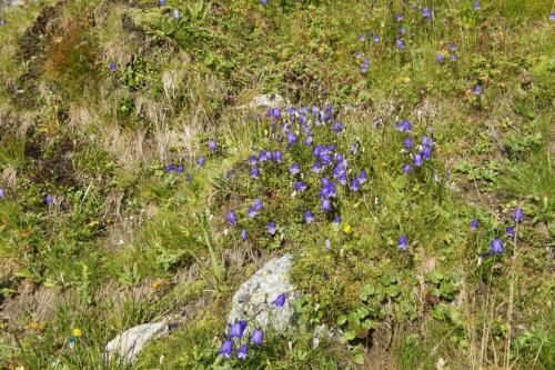 DSC04947 Каспров Верх.JPG