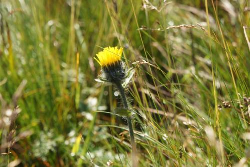 DSC04925 Каспров Верх.JPG