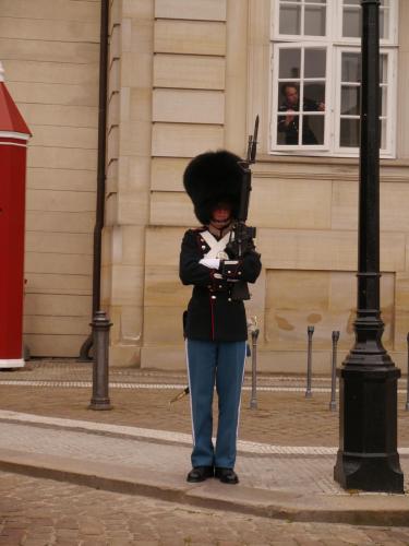 P1020571.JPG