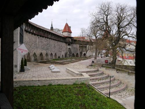 P1020338.JPG