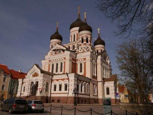 P1020429.JPG